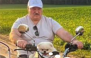 В Сети высмеяли фото Лукашенко