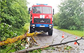 В Беларуси из-за непогоды деревья падают на железнодорожные пути и линии электроснабжения