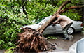 Ураган в Москве вырывал деревья с корнем