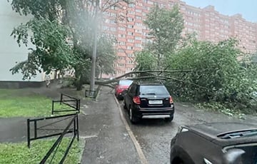 Powerful Hurricane Hits Russian St. Petersburg, Causing Trees And Cranes To Fall