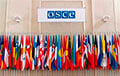 Россия приостановит участие в Парламентской ассамблее ОБСЕ