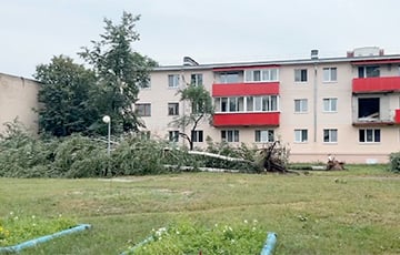 Житель Калинковичей показал, как буря прошлась по его городу