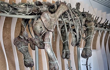 Археологи обнаружили уникального динозавра с зелеными костями