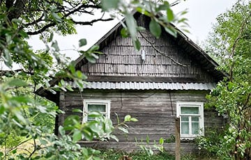 Рай для интроверта: в часе от Минска продается жилой хутор в лесу