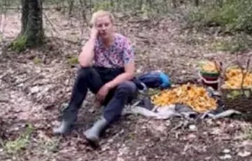 Белоруска решила спрятать грибы в лесу и разделила Сеть на два лагеря