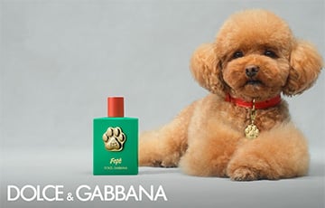 Dolce & Gabbana выпустил парфюм для собак