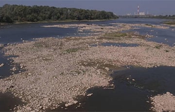 Самая доўгая рака Польшчы крытычна змялела