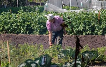 «Сами пашите в своем лживом гадюшнике»