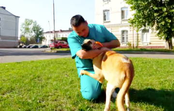 У Лідзе сабаку паставілі біянічныя пратэзы лап