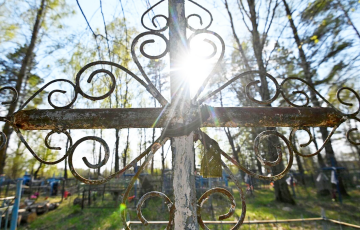 Пад Менскам студэнта прыціснула дрэвам на вясковых могілках