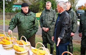 'While Lukashenka Rushes With Corn And Cows…'