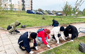 В Витебске студентов согнали полоть тротуарную плитку