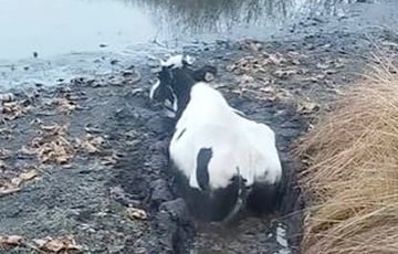 «Чуть сердце у меня не встало»