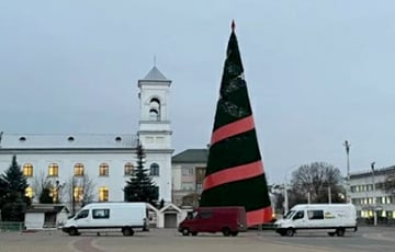 В Беларуси начали устанавливать новогодние елки