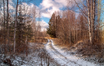 У лесе пад Менскам будуць страляць