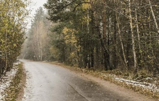 У Асіповіцкім раёне пара замерзла да смерці па дарозе з крамы