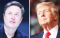 'Trump Shows Early Signs Of Discontent With Musk's Influence'