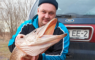 Fishermen Pull ‘Great Rarity For Belarusian Reservoirs’ Out Of Zakhodniaya Dzvina