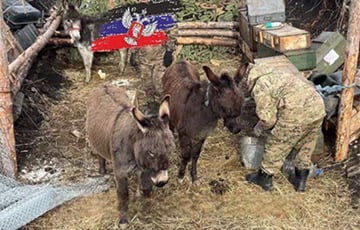 «Техники, пехоты нет, снабжение на ослах»