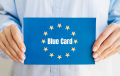 Польша занимает второе место в ЕС по выдаче иностранцам Blue Card