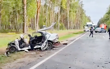 Лобовое столкновение легковушки с грузовиком под Быховом попало на видео