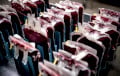 В Японии начались испытания универсальной искусственной крови