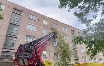 Дрэва, якое ўпала ў непагадзь, пашкодзіла тры кватэры і два аўтамабілі ў Барысаве