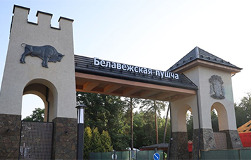 Як за год падаражэў адпачынак у Белавежскай пушчы