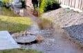 «Вот что творится, ни одна служба не приехала»