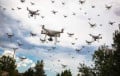 Ukraine Massively Attacked Kursk Region With UAVs