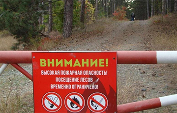 В Беларуси запретили въезд на машинах в лес почти по всей стране