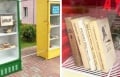 В Жлобине заметили на улице холодильники с книгами