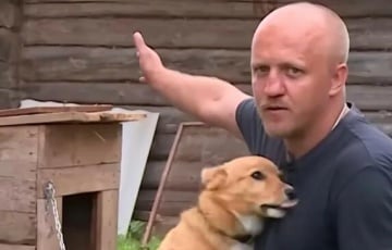 Ураган унес пса с будкой в поле в Витебской области
