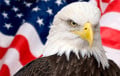 США не должны поддаваться ядерному блефу России