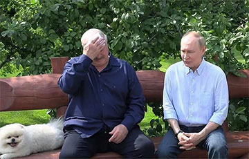 Видеофакт: шпиц Умка мешал Путину говорить