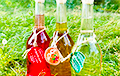 The Price Of Alcohol, Which Is Not Available Everywhere, Has Risen Sharply In Belarus