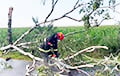 По Гродненской области прошла сильная гроза
