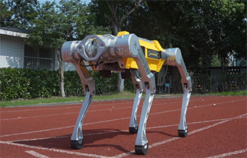 Роботизированная собака установила новый мировой рекорд