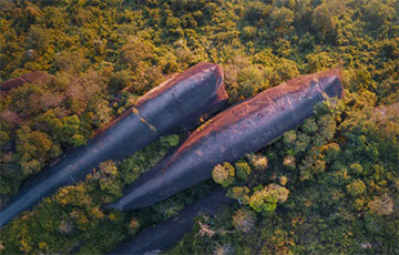 Як левіяфаны апынуліся ў лясах Тайланда