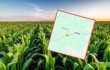 In Poland, An Unknown Object Is Reported To Have Fallen And Exploded In A Field