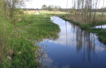 У Беларусі рацэ вярнулі старое рэчышча XIX стагоддзя
