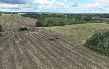 Ударны дрон упаў і выбухнуў у Эстоніі