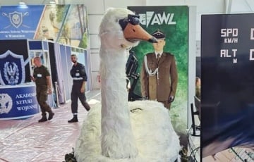 Poland Has Created A Combat Drone In The Form Of A Swan