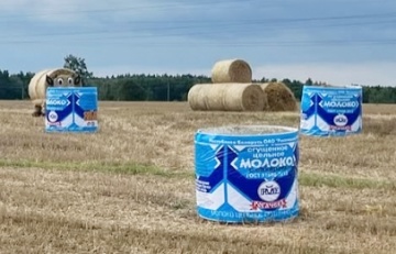 С поля под Клецком исчезла рогачевская сгущенка