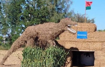 В Мядельском районе в поле заметили «бульбозавра»