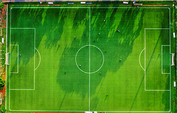 В Австралии закрыли футбольное поле из-за отложенного яйца птицы