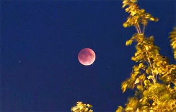Белорусы наблюдают полное лунное затмение