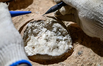 Ученые: Яйца динозавров впервые исследовали с помощью «атомных часов»