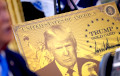 Trump's Gold Card Will Go To Work In The US