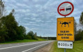 A New Road Sign Will Appear In Belarus
